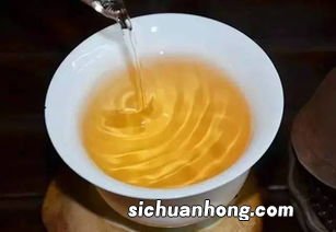 什么煮水泡茶最好