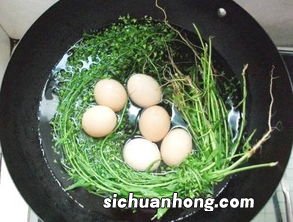 炖鸡蛋要放些什么好吃