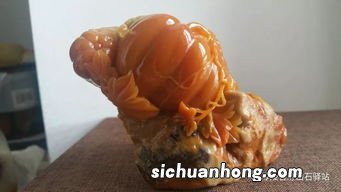 什么是岩肉