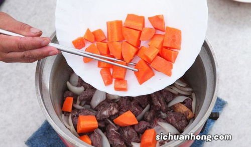 炖红参加什么的