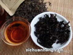 什么茶是大叶茶