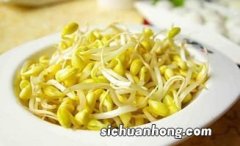 豆芽能煮什么