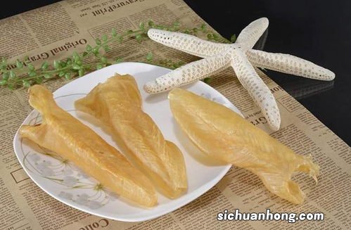 鱼胶需要泡多久