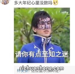 豆婧是什么意思是什么意思是什么