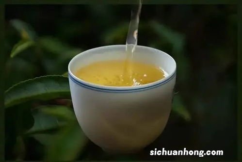 秋茶是什么时候的茶