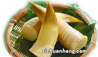 冬笋可以放多久