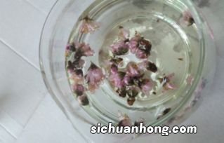 泡桃花茶是什么制作的