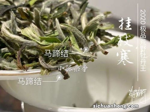 毫香的意思是什么意思