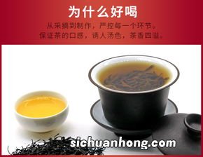 贵州遵义有什么茶