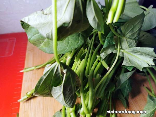 地瓜叶陪什么吃好