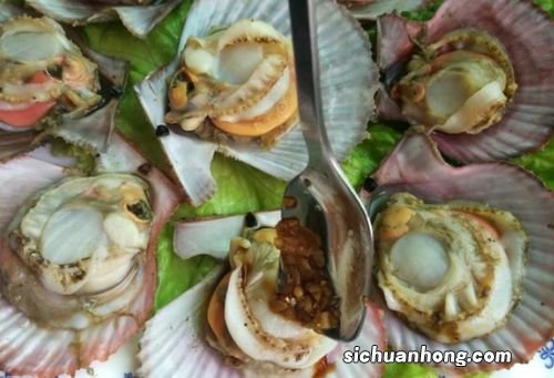 吃小贝壳怎么做好吃
