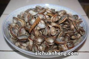 吃小贝壳怎么做好吃