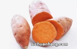 地瓜和什么相克相宜