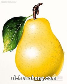 得痔疮可以吃什么水果好