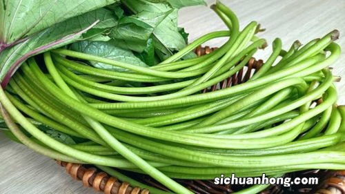 吃红薯藤怎么做好吃