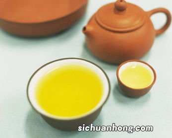 茶叶的种子是什么意思