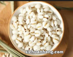 薏米要煮多久才熟