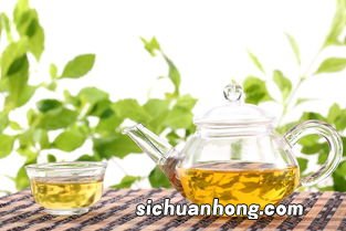 玻璃的茶壶泡什么茶好