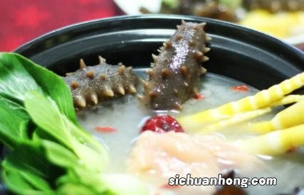 海参煮多久