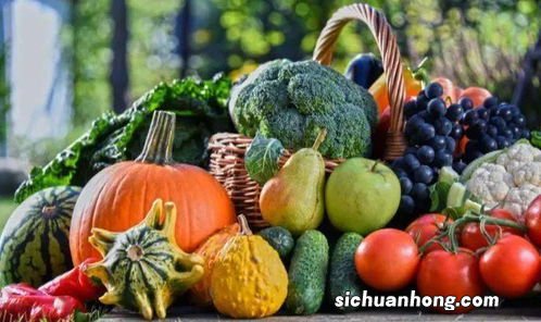 胆囊炎的人能吃什么水果好