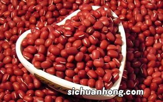 胆囊里有小结石吃什么水果好