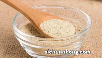 酵母要发酵多久两天会不酸