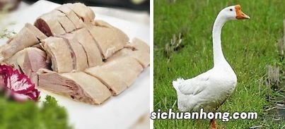 胆结石吃什么肉和菜好