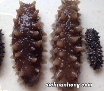 海参泡发后能放多久