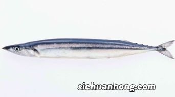 带鱼忌和什么一起吃吗