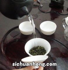 养茶宠要用什么茶