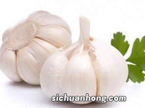 大蒜里面有什么成分