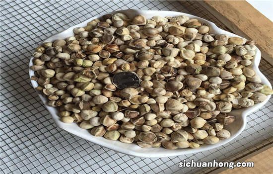 吃雪哈油要多久有功效