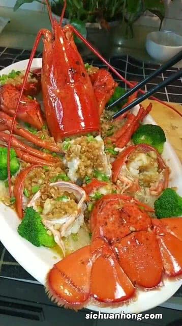 大龙虾什么时候的好吃
