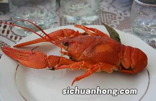 大龙虾什么时候的好吃