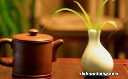 女孩喝什么茶助于减肥