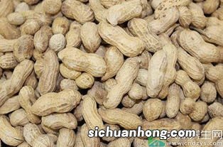 溶解黄曲霉素的是什么