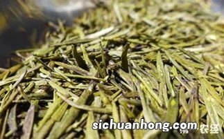 蒙顶黄芽茶属于什么茶