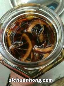 川贝母柠檬有什么功效与作用