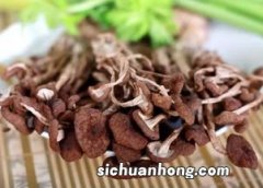 茶树菇怎么挑