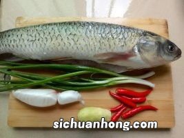 草鱼和芹菜怎么做好吃吗