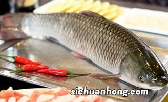 草鱼和芹菜怎么做好吃吗