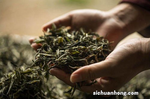 各大茶叶功效与作用是什么