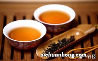 高山美人是什么茶