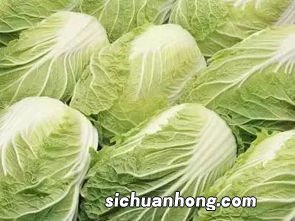 吃油白菜有什么好处