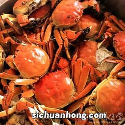 吃蟹什么不可以吃