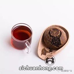 陈皮普洱什么样的好