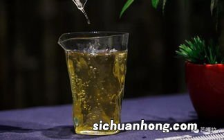 茶泡入水中活是什么茶