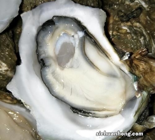吃完海蛎不能吃什么