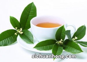 有什么著名的茶