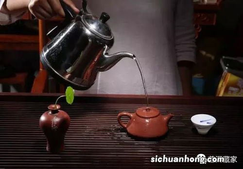 用什么茶开壶